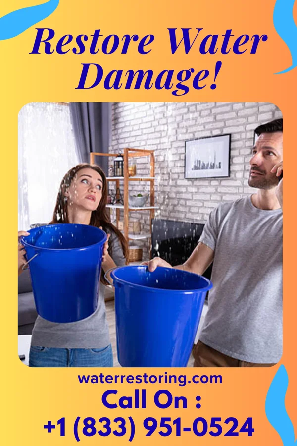 water restoration Power Storm Damage Authority Minneota